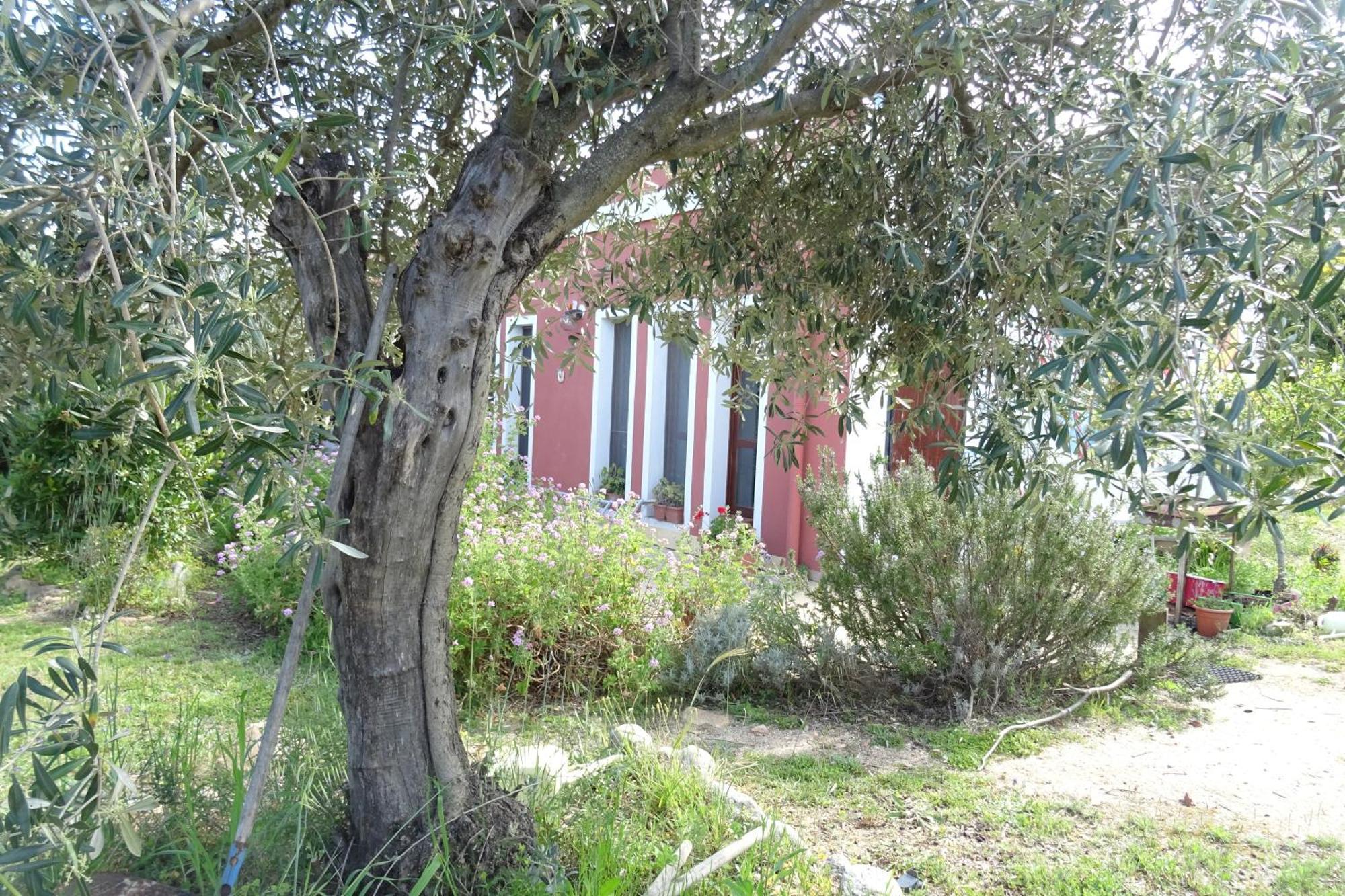 B&B Casa Per Ferie Villaggiocarovana Castiadas Exterior photo